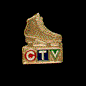 Media C.T.V. 1996 World Figure Skating Championship