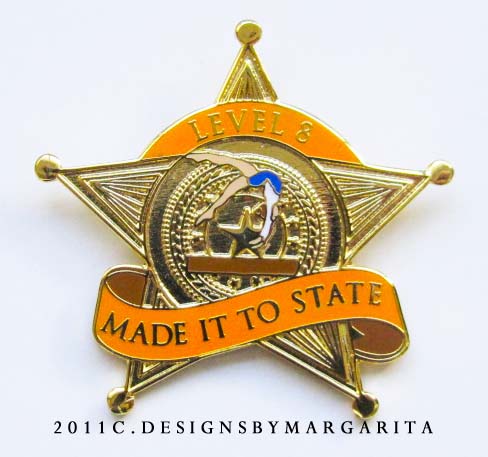 Made It to State Level 8 State championships Gymnastics Pin